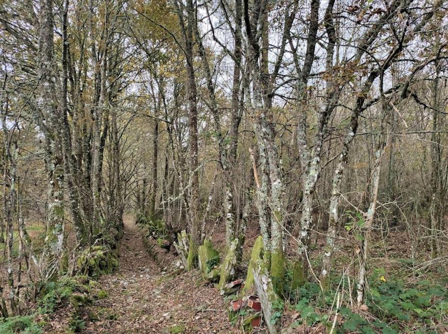 Casa Carmina: Casa Para Pequenos Grupos En El Corazon De Galicia 伊里霍 外观 照片